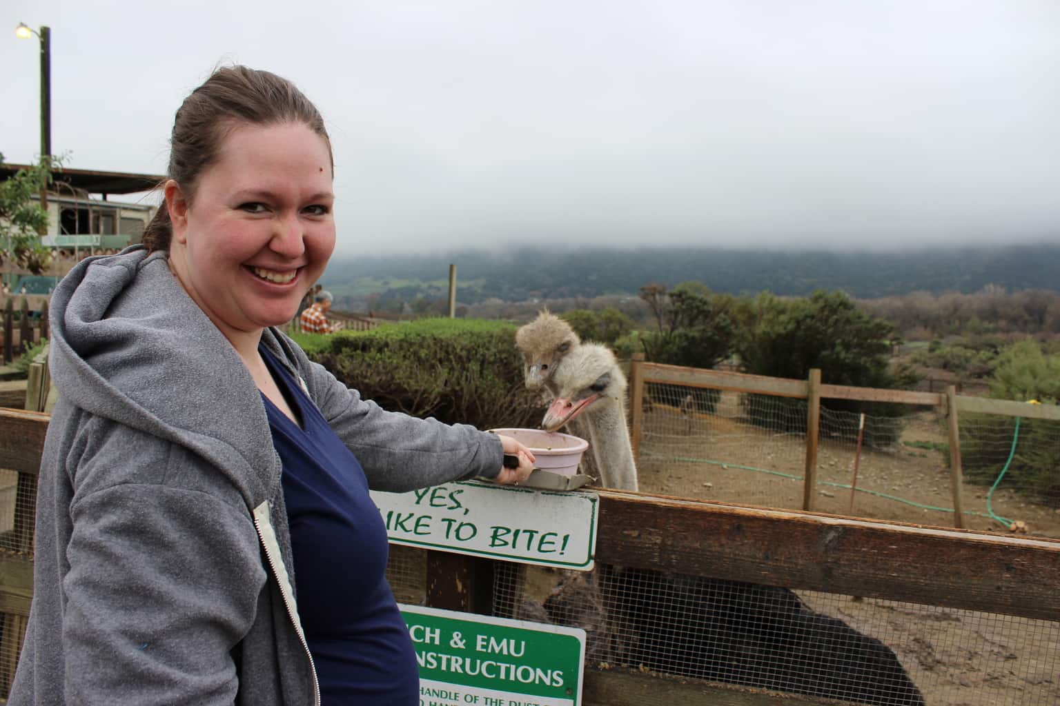 Visiting Solvang, California With Kids Visiting Solvang, California With Kids