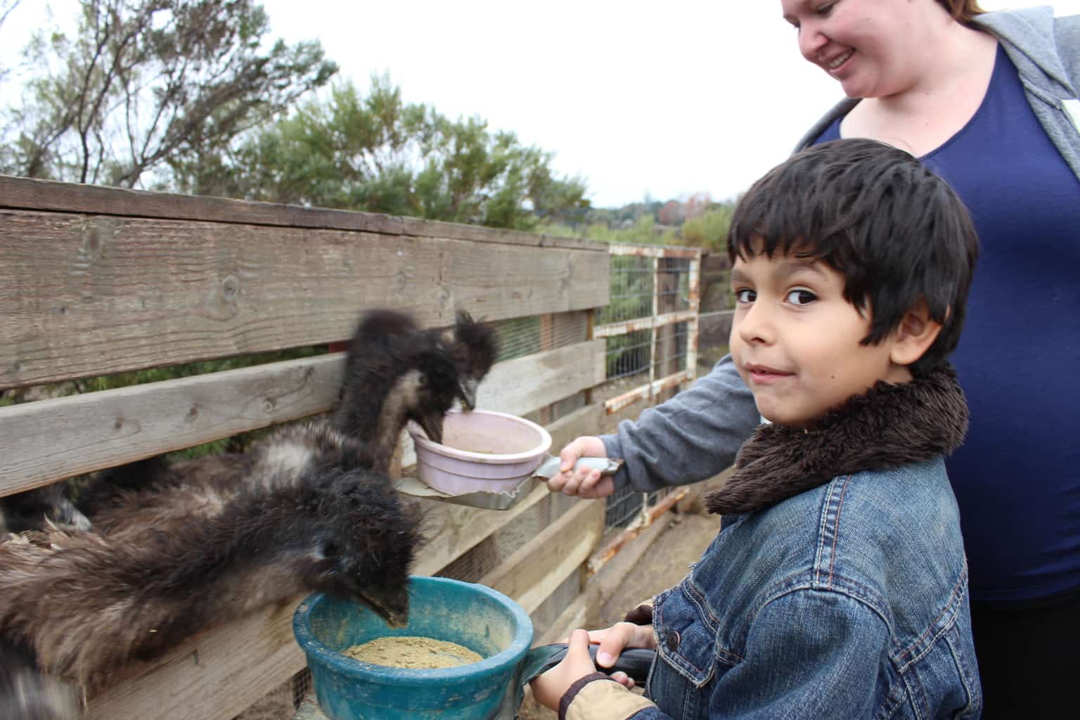 Visiting Solvang, California With Kids Visiting Solvang, California With Kids