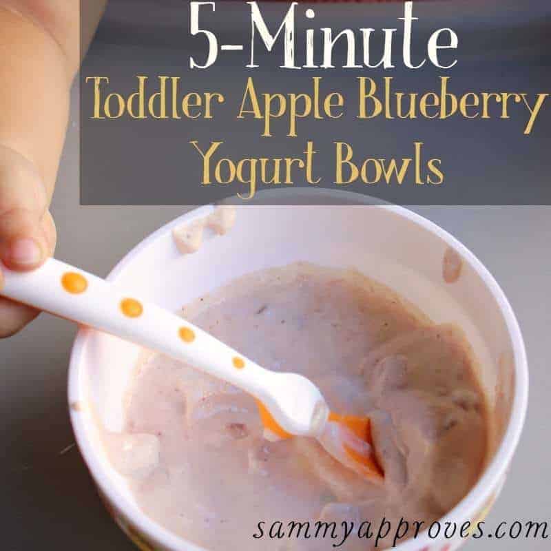 Apple Blueberry Toddler Yogurt Bowls