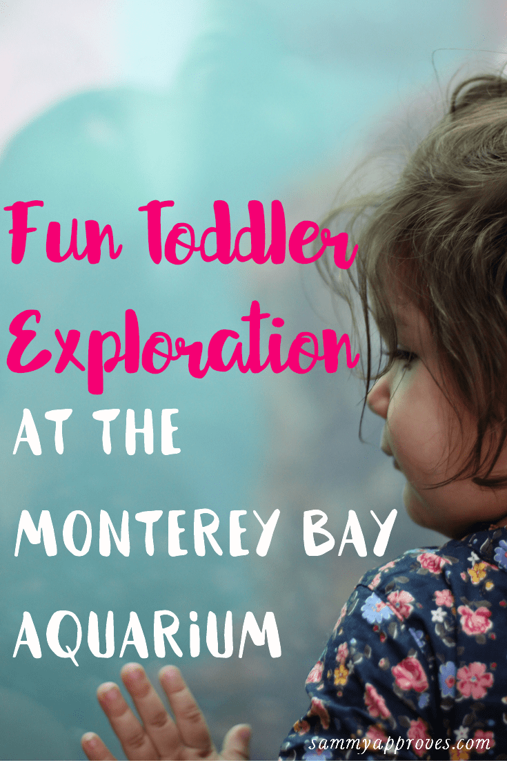 Fun Toddler Exploration- Monterey Bay Aquarium