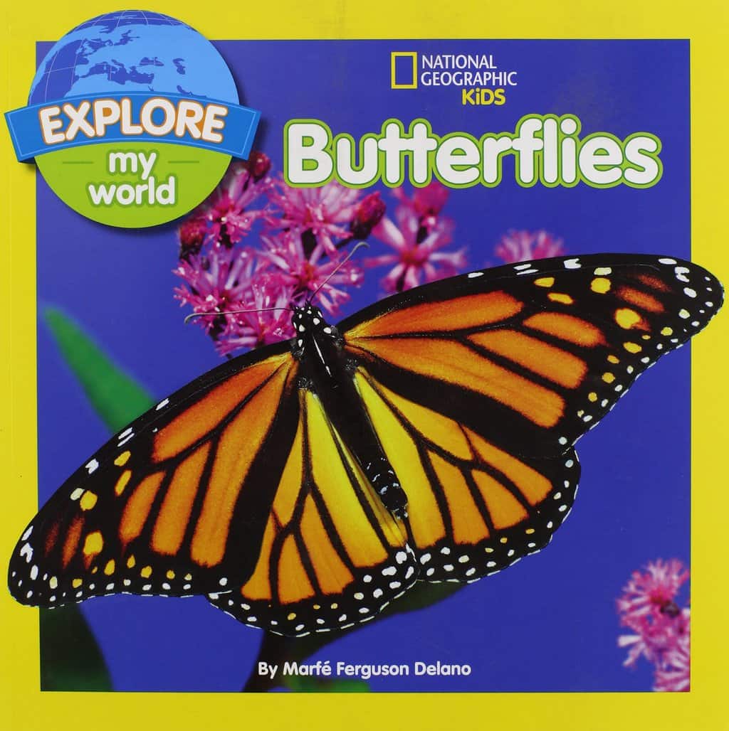 32-butterfly-caterpillar-picture-books-for-kids