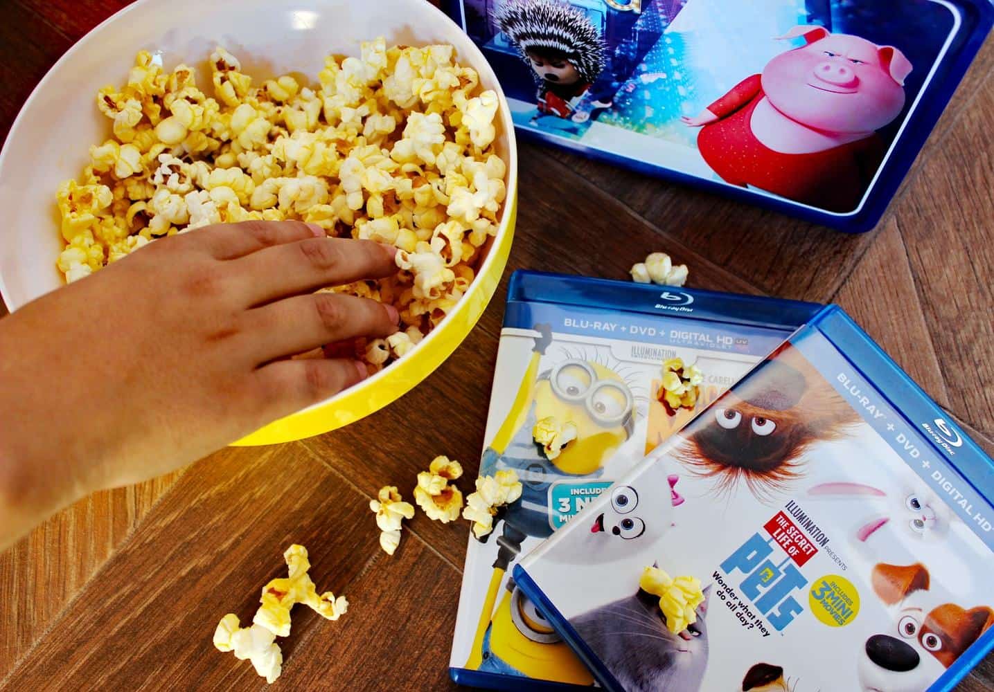 Family Movie Night With Sing- Get a FREE Sing Lunch Box Family Movie Night With Sing- Get a FREE Sing Lunch Box