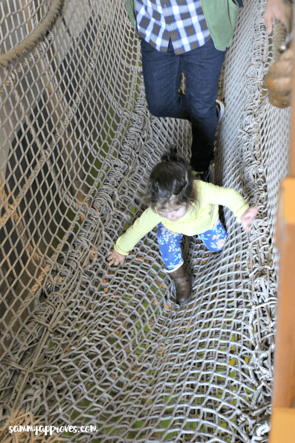 5 Reasons Why Lehi Utah's Museum of Natural Curiosities is Perfect for Toddlers