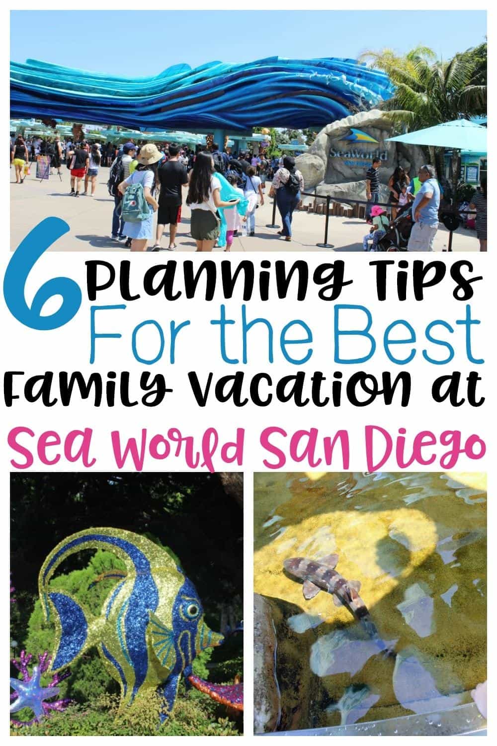 6-planning-tips-for-the-best-family-vacation-at-sea-world-san-diego