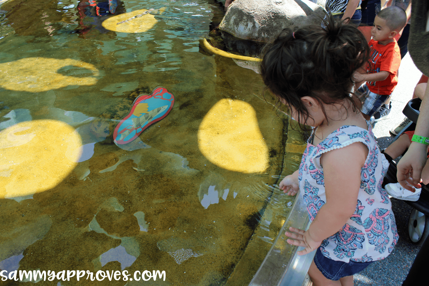 6 Planning Tips for the Best Family Vacation at Sea World San Diego