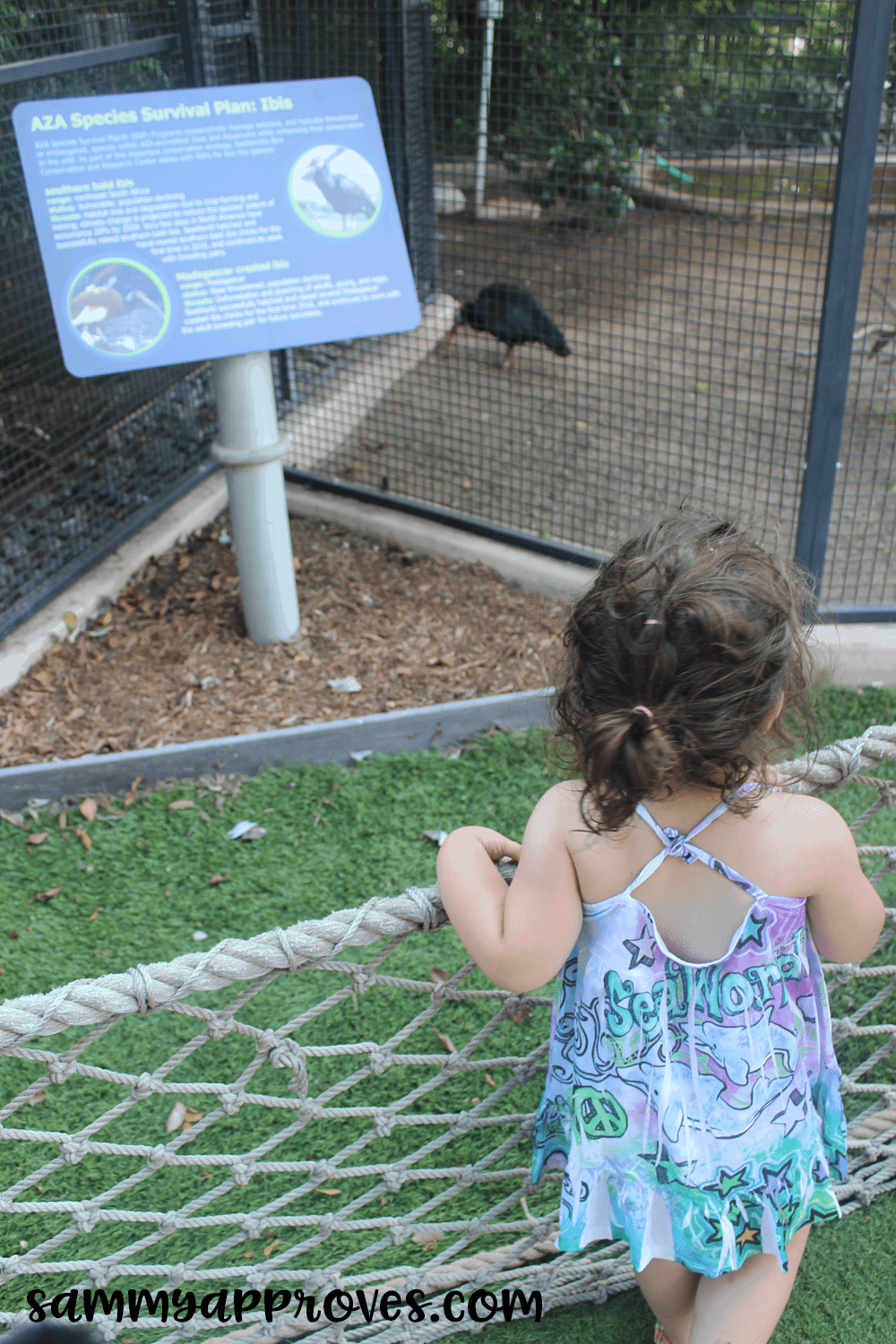 6 Planning Tips for the Best Family Vacation at Sea World San Diego
