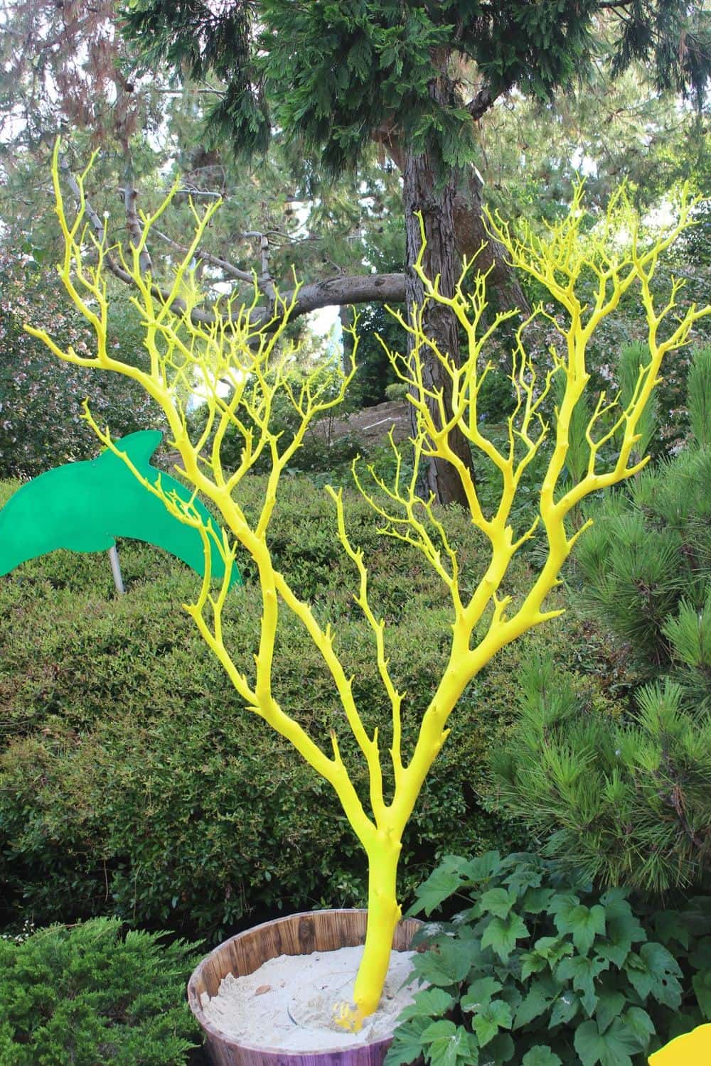 6 Planning Tips for the Best Family Vacation at Sea World San Diego