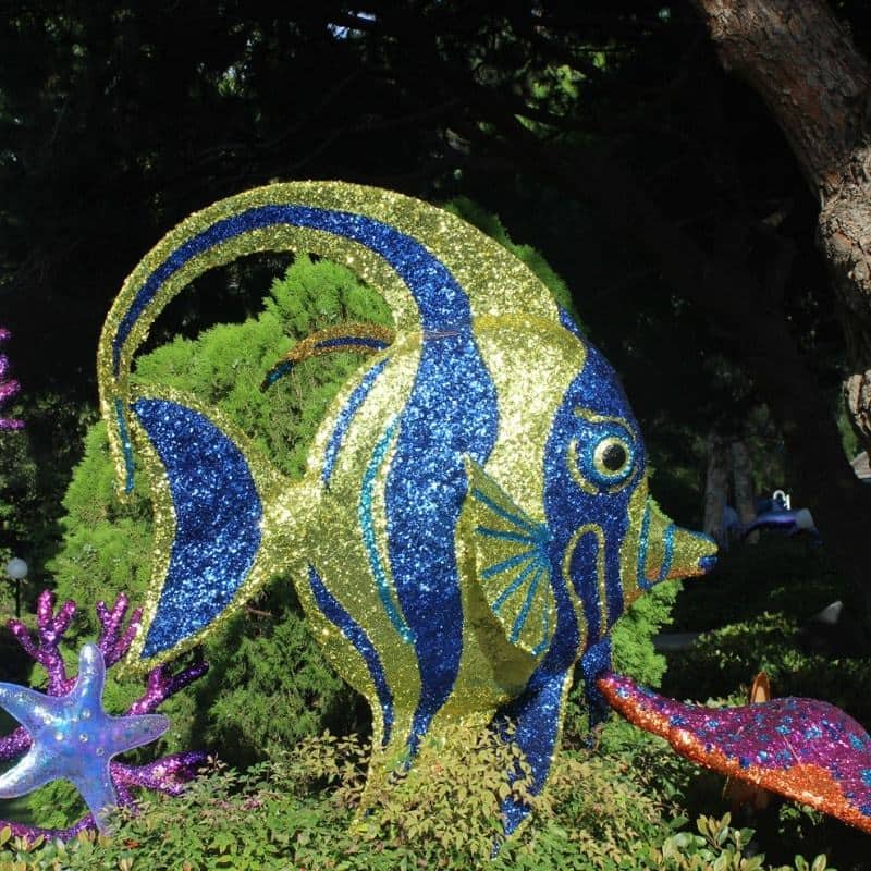 6 Planning Tips for the Best Family Vacation at Sea World San Diego