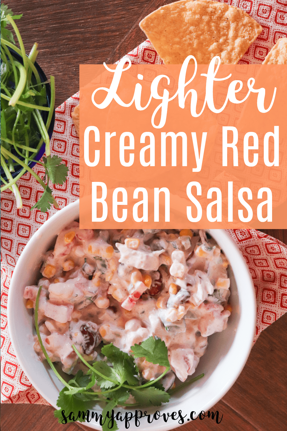 Lighter Creamy Red Bean Salsa | Made With Greek Yogurt