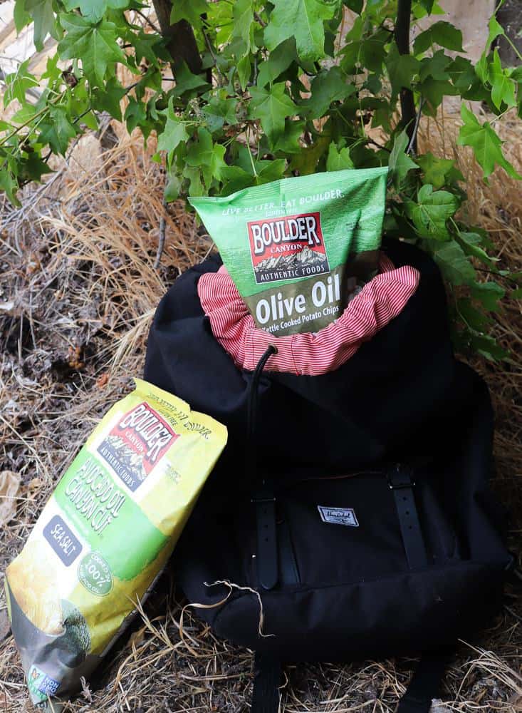 healthy snacks for kids Amazing ways to Strengthen your Family Bond Outdoors