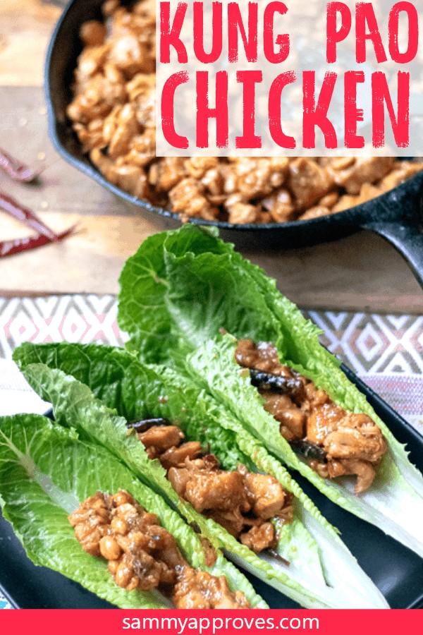 Chinese Chicken Recipes Easy Kung Pao Chicken Recipe