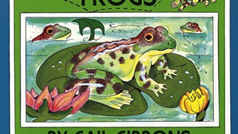 Image for Frogs