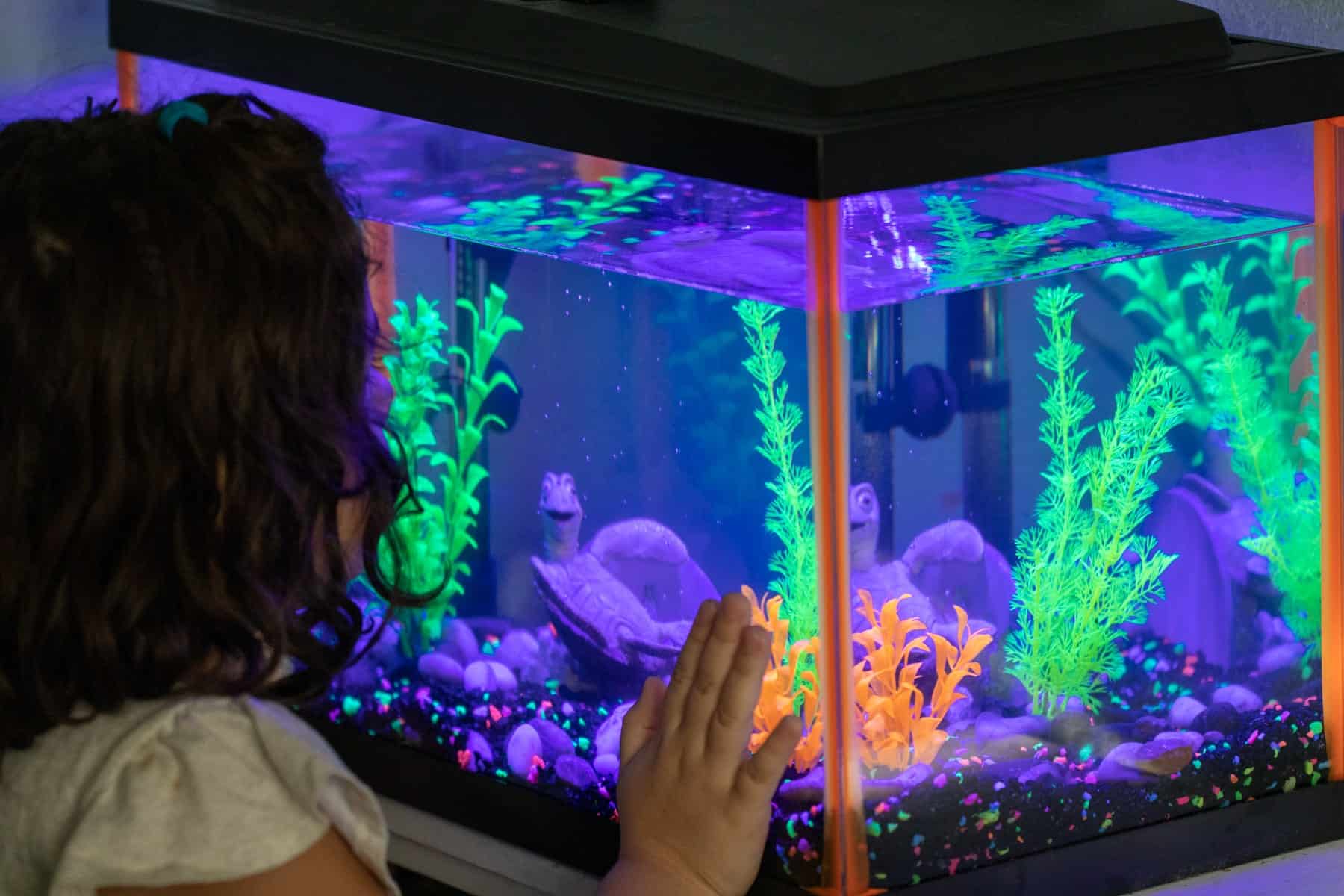 How to Set Up a Pet Fish Aquarium for Kids Fish Tank Care Tips!