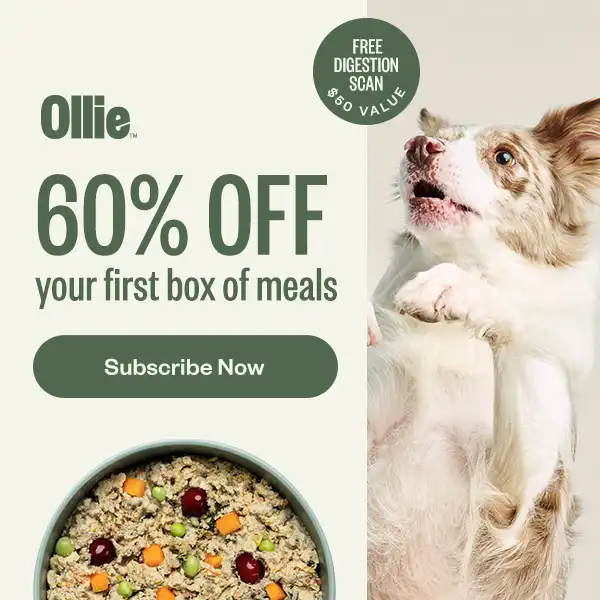Free Digestion Scan from Ollie Dog Food