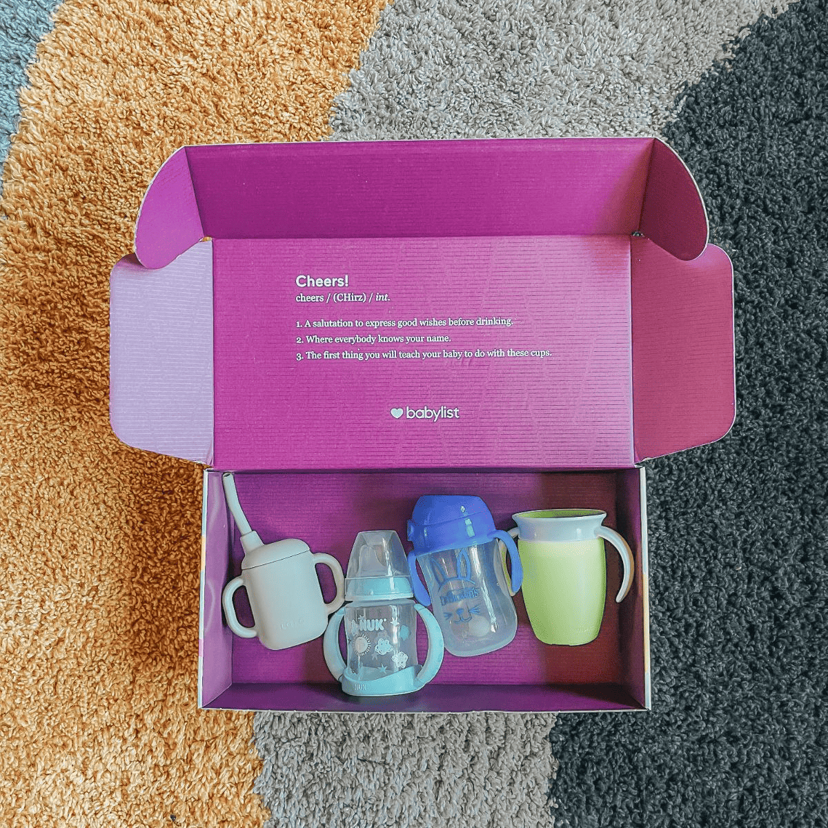 Babylist Sippy Cup Sampler