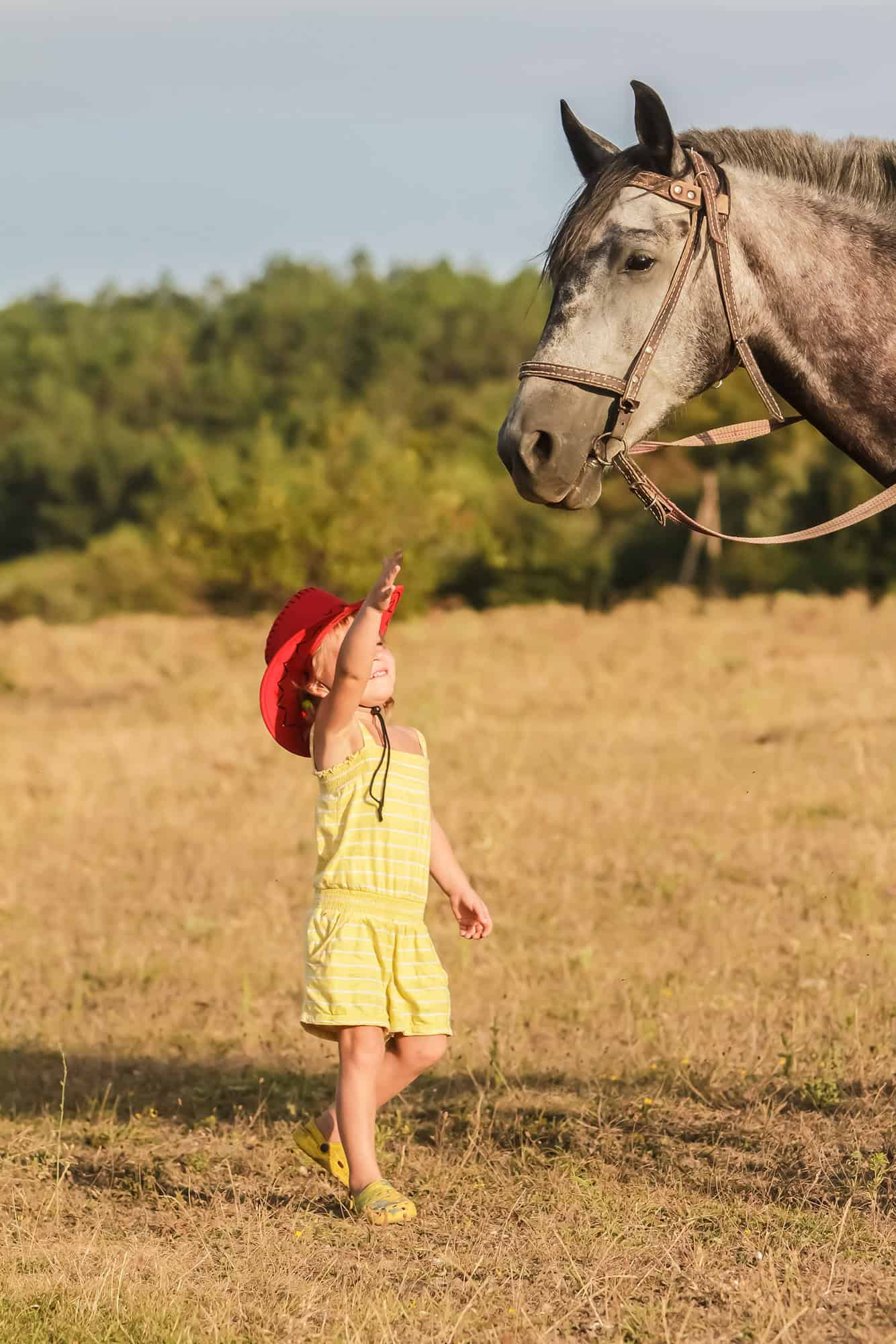 outdoor portrait of young happy girl riding a horse on farm, rural background