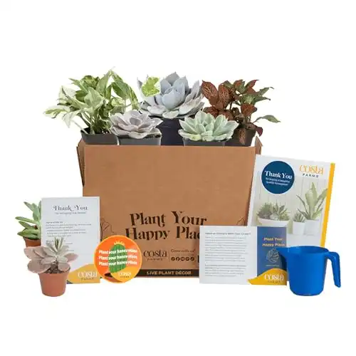 Costa Farms Live Indoor Plants Monthly Subscription Box