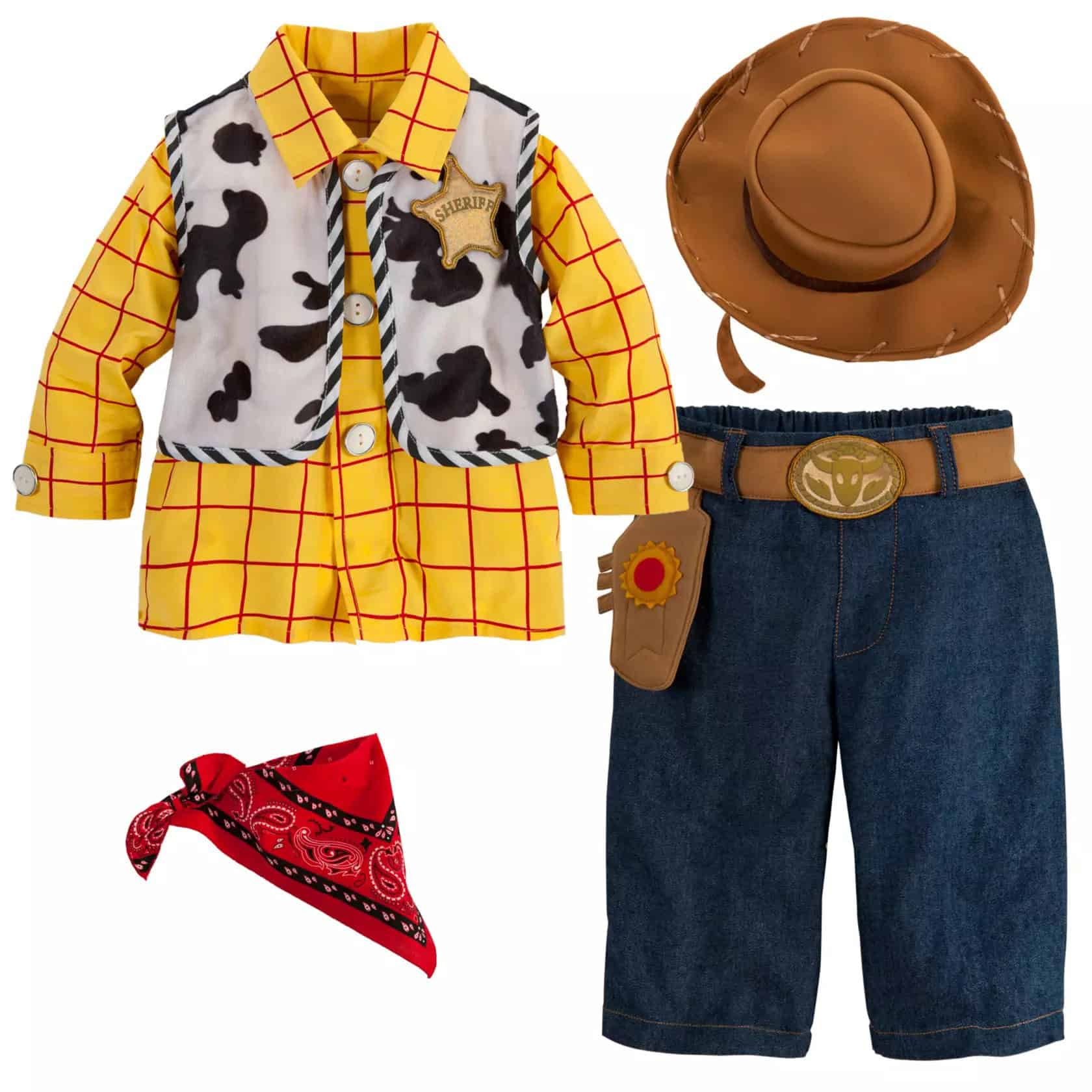 Woody Costume for Baby Toy Story