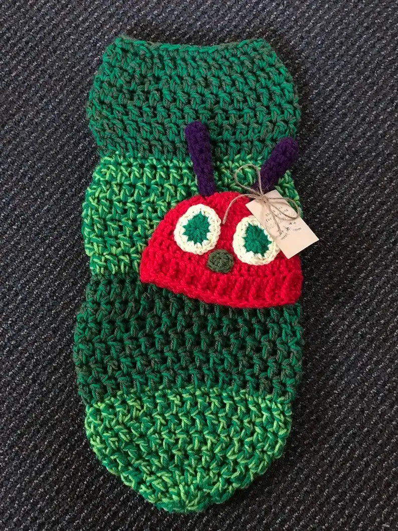 The Very Hungry Caterpillar Newborn Cocoon and Hat Set