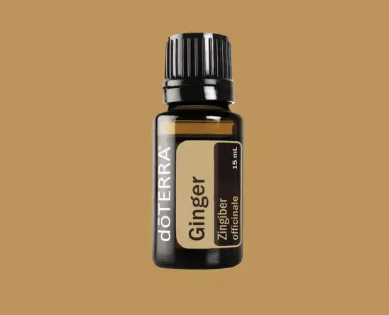 Ginger Oil | doTERRA Essential Oils