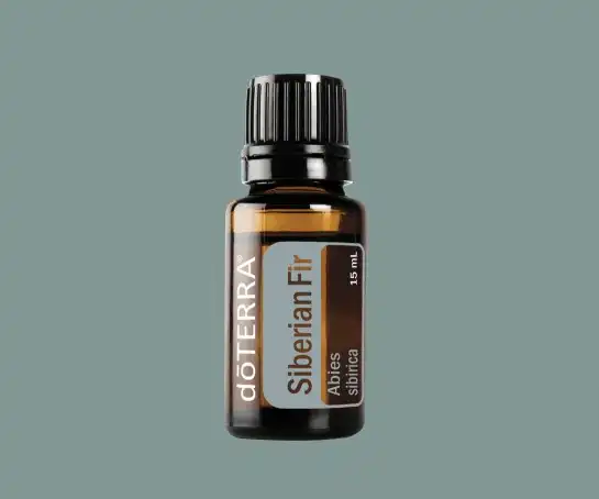 Siberian Fir Essential Oil | doTERRA Essential Oils