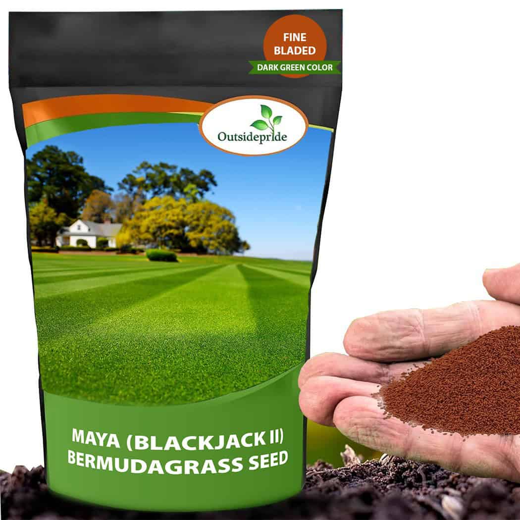 Outsidepride Grass and Flower Seeds