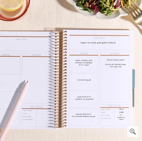 Erin Condren Wellness Planner