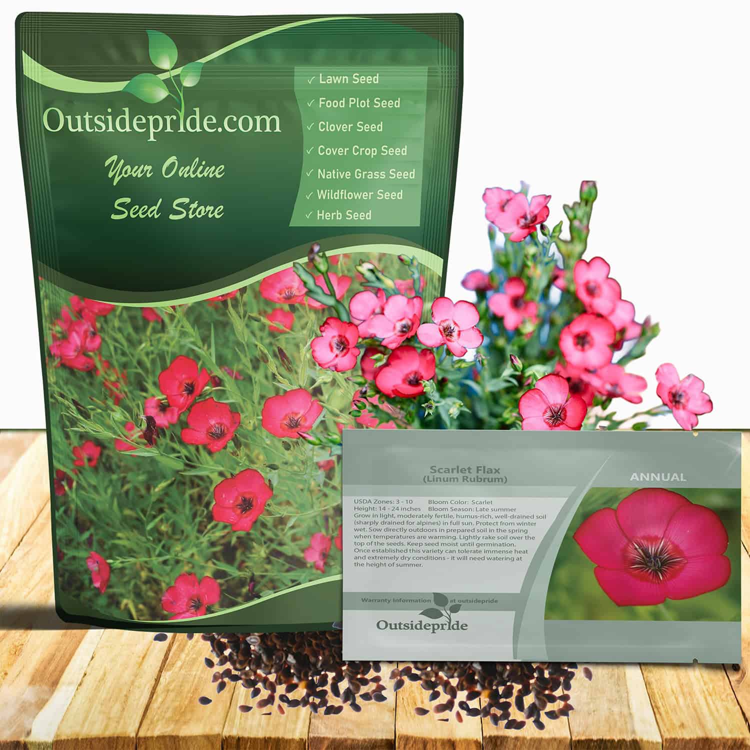Drought Tolerant Linum Rubrum Scarlet Flax Wildflower Seed