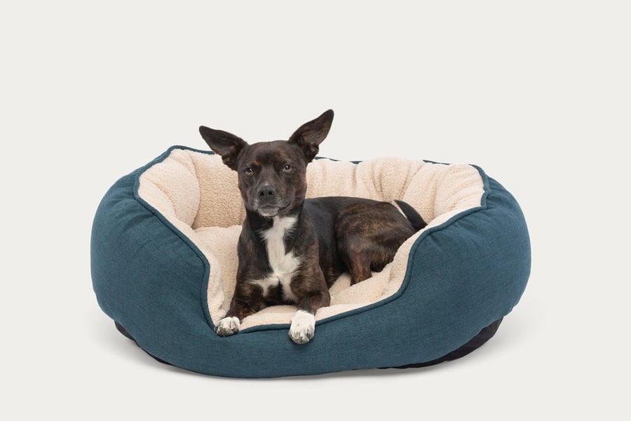 SleepDog Oval Cuddler Pet Bed | BedInABox