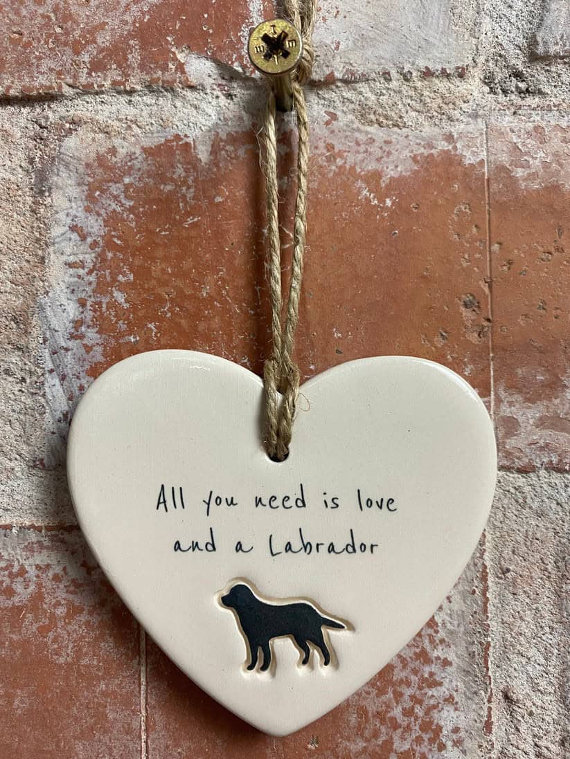 Personalised Pet Gifts | Dave & Dandelion